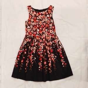 Talbots Black, Pink, and Coral Floral Print Dress, Sleeveless, Size 12ppppp0p000